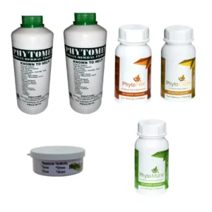 Muscle Combo – Phytomed Botanical Collection Phytomed botanical set with tonics, capsules, and balm, traditional plant-based ingredients.