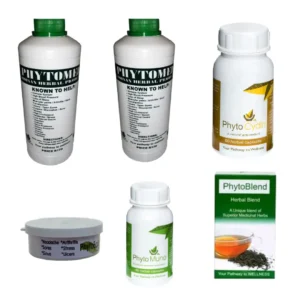 STI Herbs Combo STI Herbs Combo Phytomed herbal wellness kit